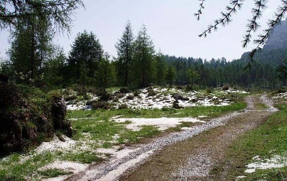 Poligoni militari in Carnia, nuove regole per tutelare turismo, ambiente e comunità