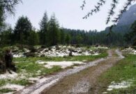 Poligoni militari in Carnia, nuove regole per tutelare turismo, ambiente e comunità