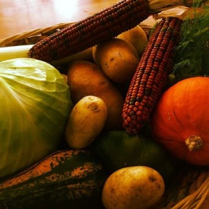 prodotti agricoli carnia