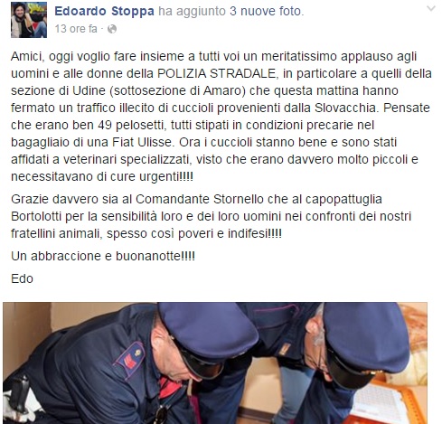 edoardo stoppa cani amaro