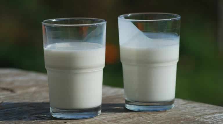 1 Quintale Di Latte Quanti Litri Sono