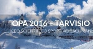 opacuptarvisio16