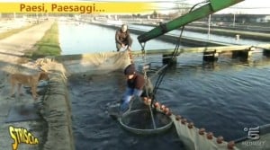 paesi paesaggi a san daniele trota