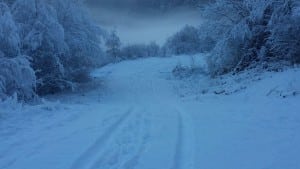 pistino neve forni di sotto