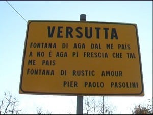 Nel_paese_temporali_primule-7