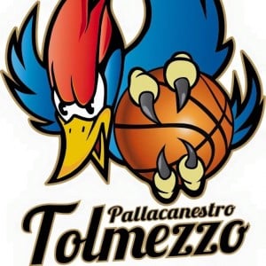 basket tolmezzo