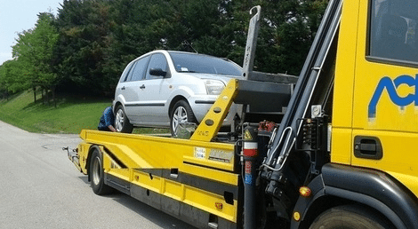 caccia uomo majano 2