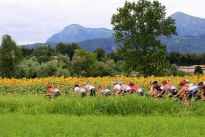 aafadccd-6843-46e3-b382-893abda6725d