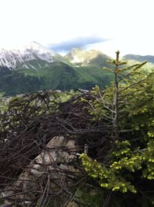 walking arte cammino 2