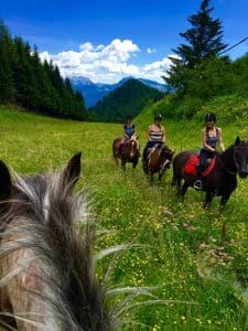 escursioni cavallo carnia 1