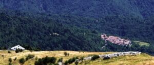 assorifugi_pelizzo02