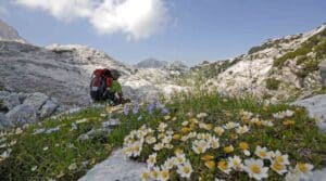 Sentiero geologico del Foran dal Mus (Foto Archivio Parco Naturale Prealpi Giulie / Marco Di Lenardo)