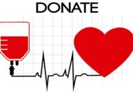 Donazione sangue a Forni di Sopra: lunedì 30 marzo arriva l’autoemoteca