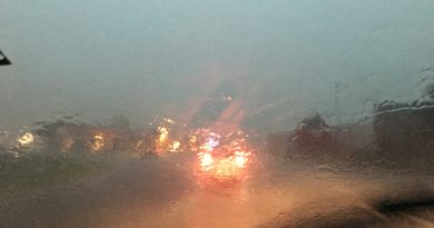 Maltempo, bufera di vento e piogge intense su tutto il Friuli Maltempo, bufera di vento e piogge intense su tutto il Friuli
