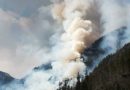 Incendio nei boschi fra Santo Stefano e Sappada, riaperta la SR 355 Incendio nei boschi fra Santo Stefano e Sappada, riaperta la SR 355