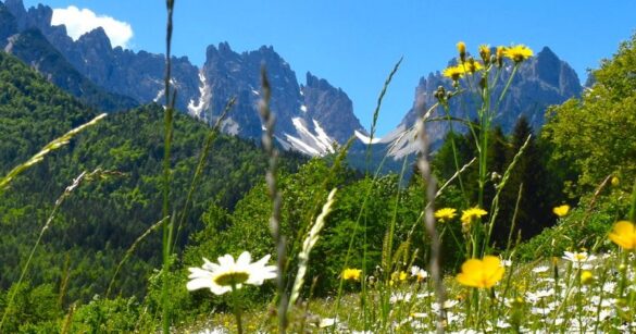 A Forni di Sopra si riflette sui turismi per la montagna friulana A Forni di Sopra si riflette sui turismi per la montagna friulana