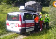 Bimbo di tre mesi punto da un insetto, soccorsi mobilitati a Tramonti di Sopra