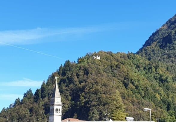 Tolmezzo, al via l’operazione di riqualificazione forestale sotto Torre Picotta