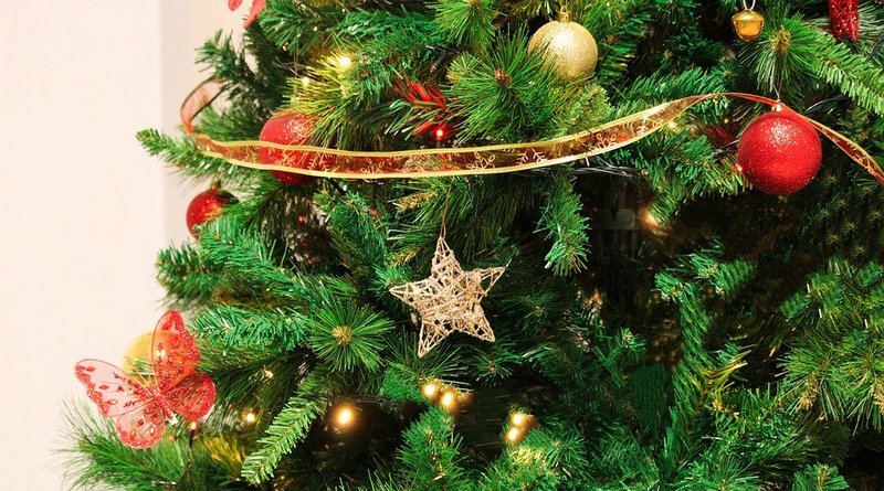 A Paularo tutto pronto per l'accensione dell'albero di Natale in piazza