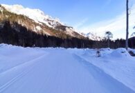 Musica e sport in Val Pesarina con la “Festa sulla Neve”