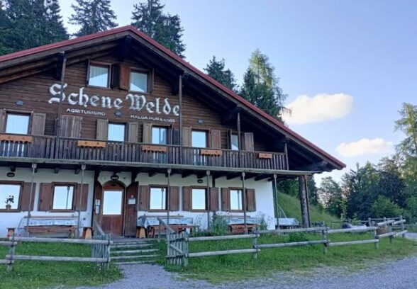 Il Comune di Ampezzo cerca gestori per il Rifugio Monte Pura