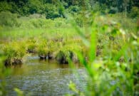 Sette Comuni friulani acquisiscono beni ex militari dallo Stato