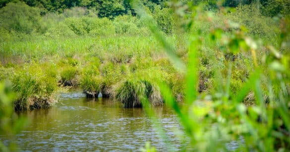 Sette Comuni friulani acquisiscono beni ex militari dallo Stato