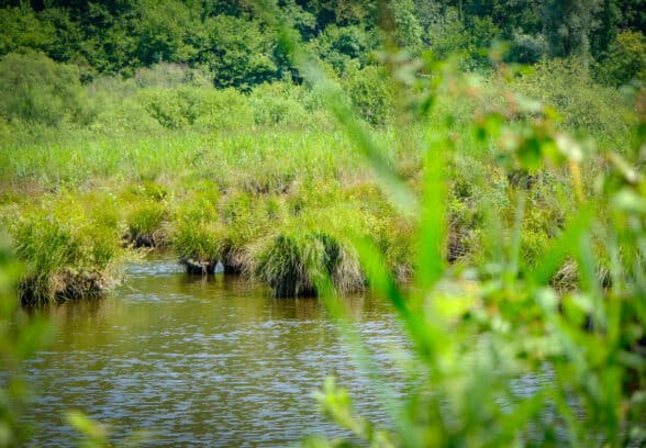 Sette Comuni friulani acquisiscono beni ex militari dallo Stato