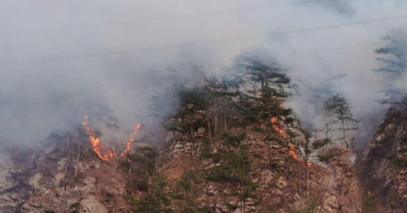 Incendio boschivo a Chiusaforte, interviene l’elicottero della Protezione Civile