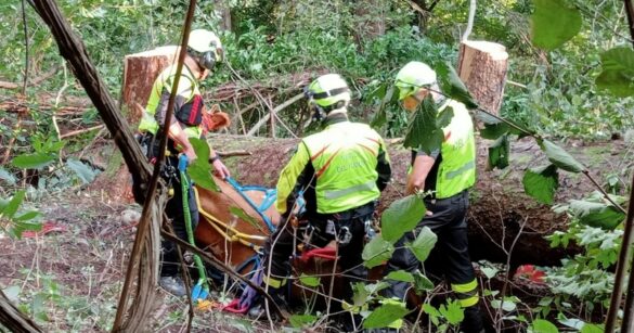 VIDEO – Complesso recupero di una mucca scivolata per 50 metri a Ovaro VIDEO – Complesso recupero di una mucca scivolata per 50 metri a Ovaro