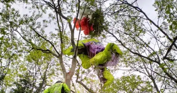 Gemona, parapendista rimane impigliato su un albero