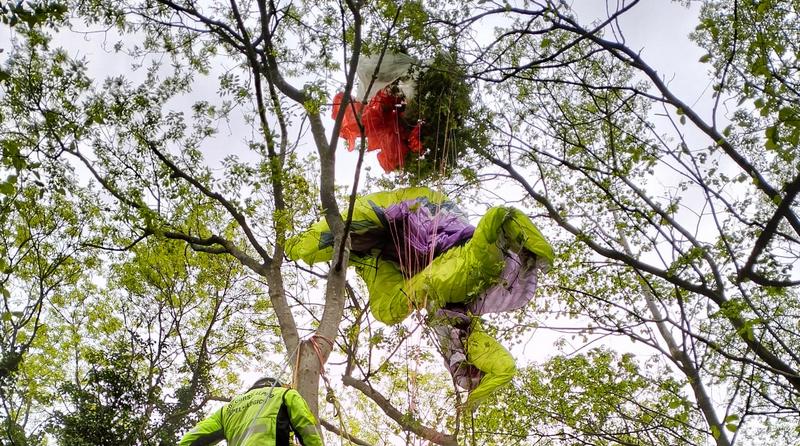 Gemona, parapendista rimane impigliato su un albero