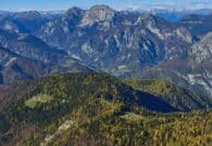 Oltre 11 milioni di euro per rafforzare il sostegno alla viabilità forestale in Alto Friuli