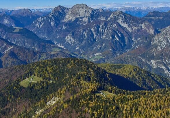 Oltre 11 milioni di euro per rafforzare il sostegno alla viabilità forestale in Alto Friuli