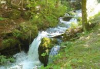 Giornata Mondiale dell’Acqua, iniziative dell’Università di Udine in tutto il Friuli