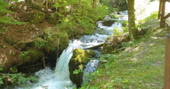 Giornata Mondiale dell’Acqua, iniziative dell’Università di Udine in tutto il Friuli
