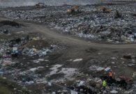 Crescono i reati ambientali in Friuli Venezia Giulia