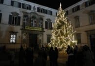 Acceso l’albero di Natale dell’Università di Udine proveniente dalla Foresta di Fusine