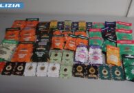 VIDEO – Maxi operazione antidroga: controlli e sequestri anche in provincia di Udine