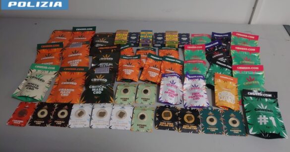 VIDEO – Maxi operazione antidroga: controlli e sequestri anche in provincia di Udine