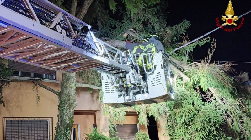 Bora ancora forte sul Friuli Venezia Giulia: raffiche oltre i 110 km/h, disagi e interventi nella notte