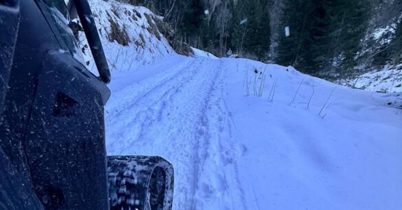 Forni di Sopra, escursionista si infortuna poco sotto Malga Tartoi