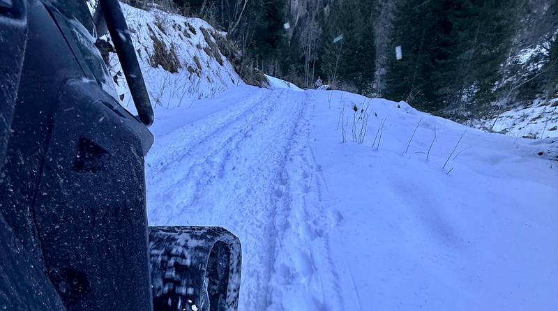 Forni di Sopra, escursionista si infortuna poco sotto Malga Tartoi