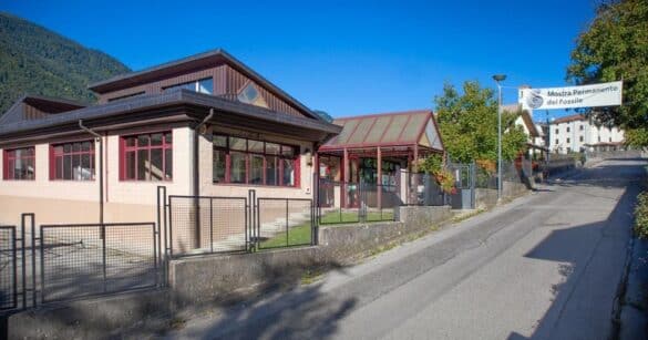 L’Esposizione permanente del Fossile di Piano d’Arta apre le sue porte sabato 3