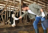 Associazione Allevatori Fvg: proposte formative per aziende di successo