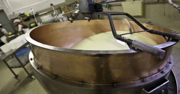 Crisi del latte, per Confagricoltura Fvg è necessaria un’azione collettiva