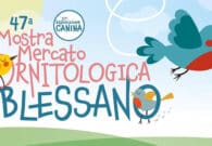 PODCAST – La 47ª Mostra mercato ornitologica di Blessano in diretta su Radio Studio Nord