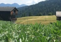 Euroleader apre il bando “Creazione di attività extra agricole”