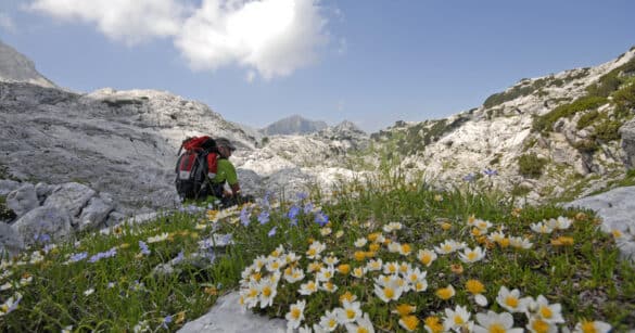 Trent’anni di Parco, vent’anni di Val Alba: il 2026 tra natura, escursioni e anniversari