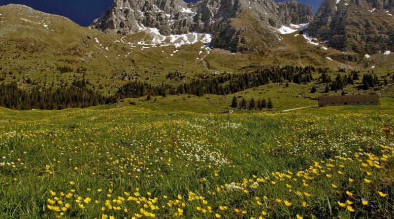 Montasio, allarme bracconaggio sulle marmotte: chiesti controlli e pattugliamenti